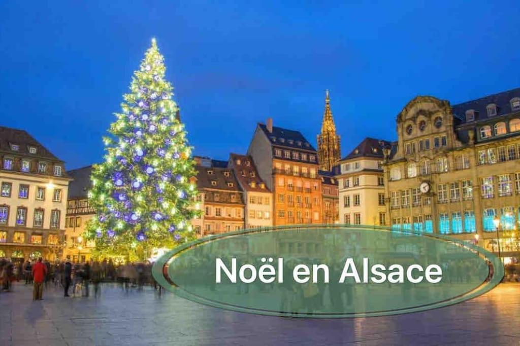 Gite Classe 4 Etoiles  La Maison Du Tonnelier Oberbronn Buitenkant foto