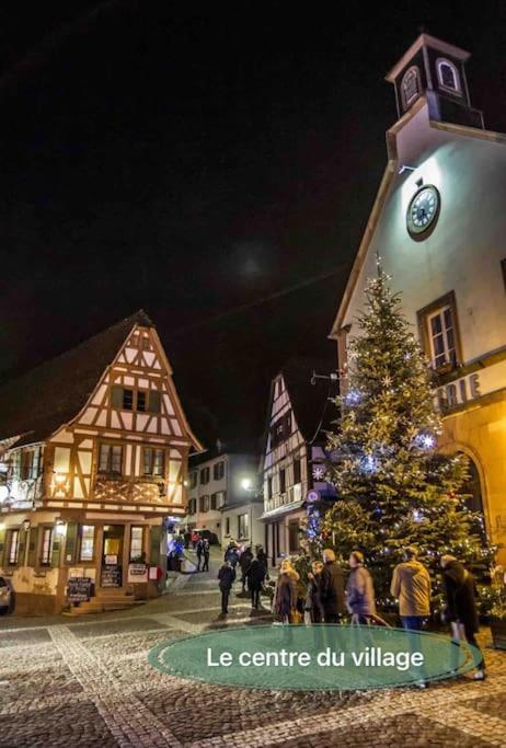 Gite Classe 4 Etoiles  La Maison Du Tonnelier Oberbronn Buitenkant foto
