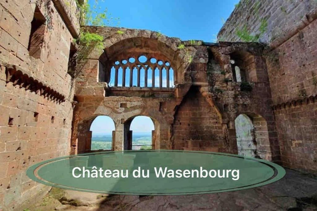Gite Classe 4 Etoiles  La Maison Du Tonnelier Oberbronn Buitenkant foto