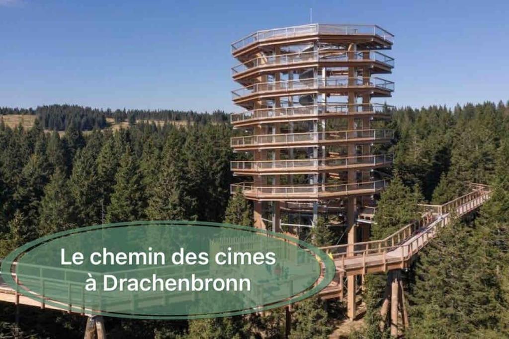 Gite Classe 4 Etoiles  La Maison Du Tonnelier Oberbronn Buitenkant foto