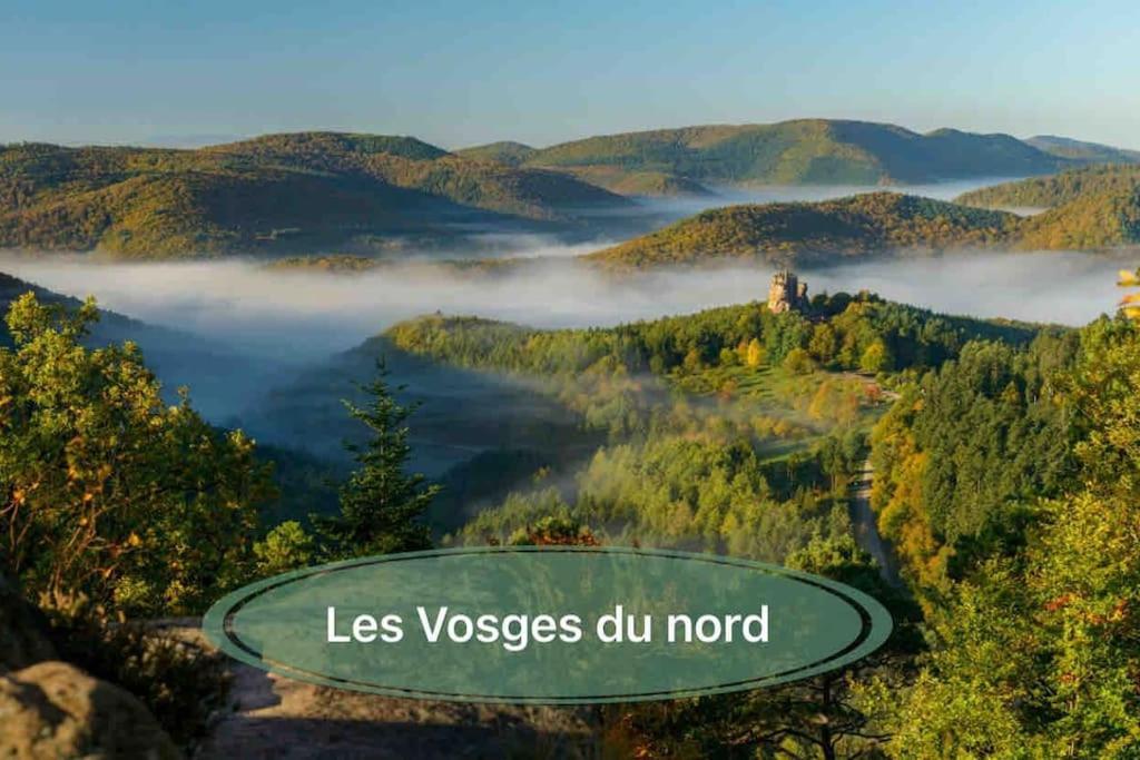 Gite Classe 4 Etoiles  La Maison Du Tonnelier Oberbronn Buitenkant foto