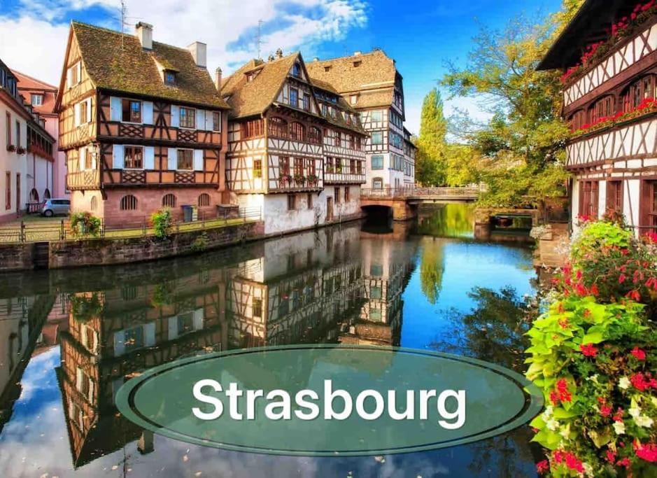 Gite Classe 4 Etoiles  La Maison Du Tonnelier Oberbronn Buitenkant foto